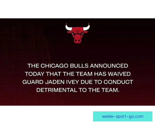 公牛伤情最新更新 西蒙斯与艾维出战火箭成疑有望回归